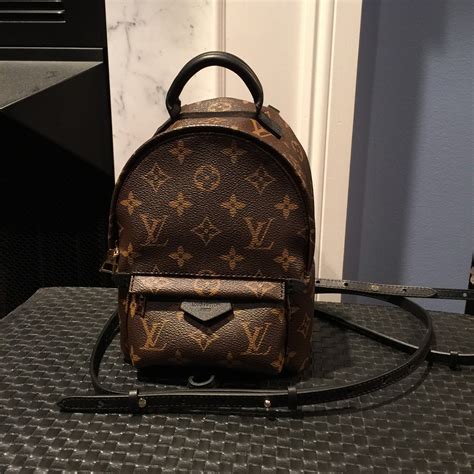 lv palm springs backpack price philippines|palm springs backpack mini price.